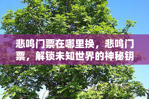 解锁未知世界的神秘钥匙图片