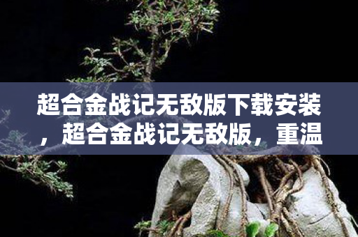 超合金战记无敌版下载安装图片