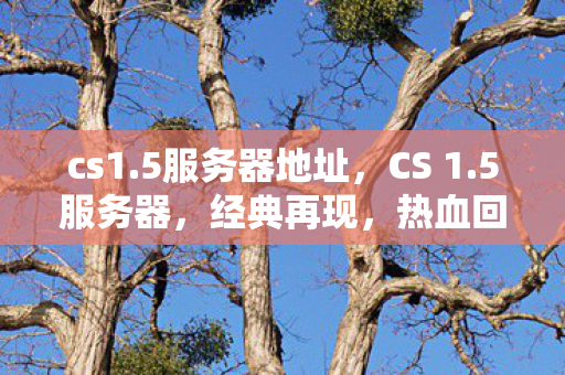 cs1.5服务器地址，CS 1.5服务器，经典再现，热血回忆