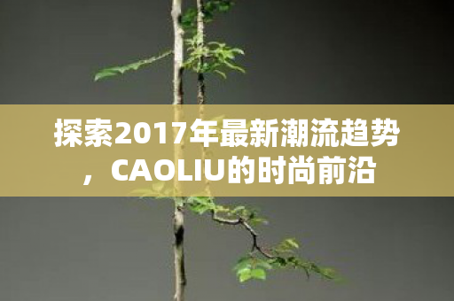 探索2017年最新潮流趋势图片