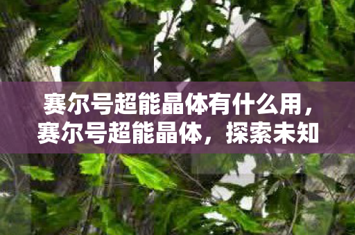 赛尔号超能晶体有什么用图片