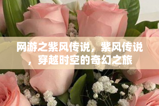 穿越时空的奇幻之旅图片