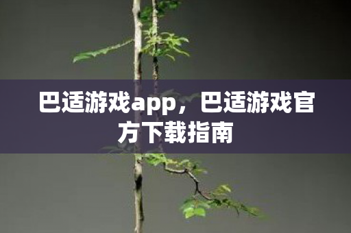 巴适游戏官方下载指南图片