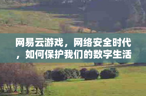 网易云游戏，网络安全时代，如何保护我们的数字生活？
