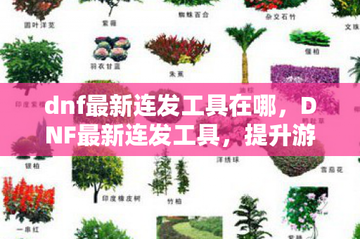 dnf最新连发工具在哪图片