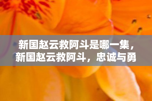 新国赵云救阿斗是哪一集图片