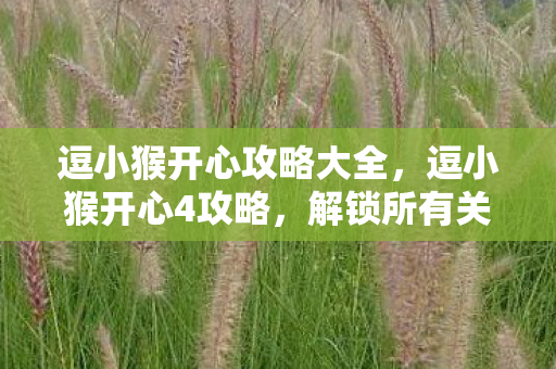 逗小猴开心攻略大全图片