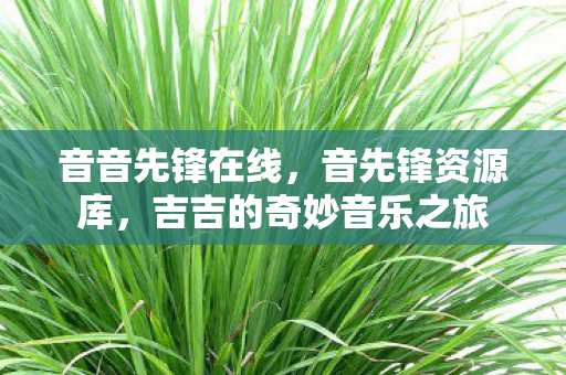 吉吉的奇妙音乐之旅图片