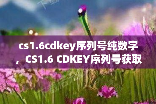 cs1.6cdkey序列号纯数字，CS1.6 CDKEY序列号获取攻略