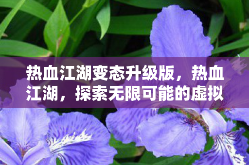 探索无限可能的虚拟世界图片