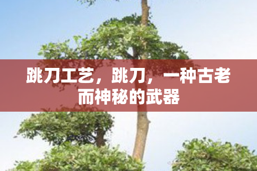 一种古老而神秘的武器图片