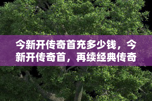 今新开传奇首充多少钱图片