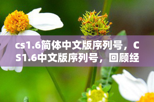 cs1.6简体中文版序列号，CS1.6中文版序列号，回顾经典，探寻起源