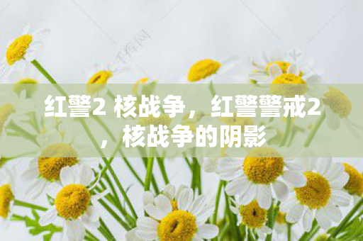 红警2 核战争图片