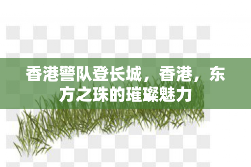 东方之珠的璀璨魅力图片