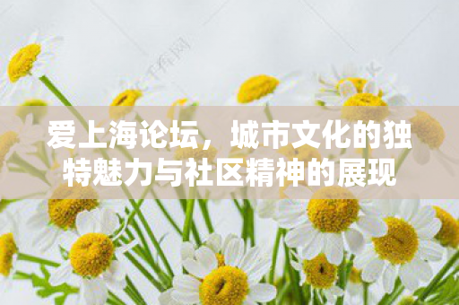 城市文化的独特魅力与社区精神的展现图片