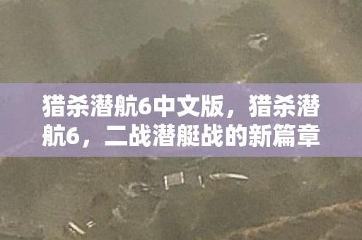 二战潜艇战的新篇章图片