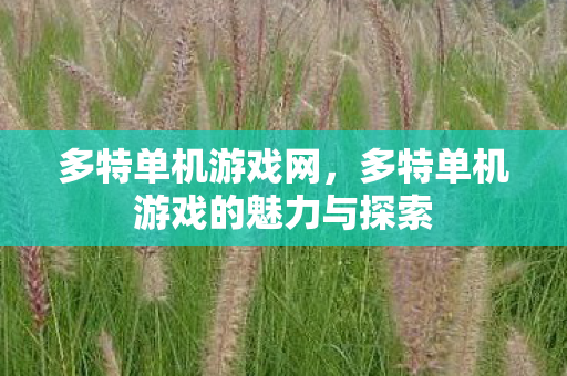 多特单机游戏的魅力与探索图片