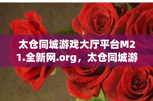 太仓同城游戏大厅平台M21图片