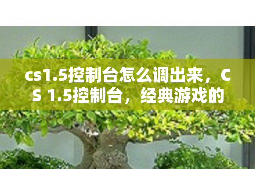 cs1.5控制台怎么调出来，CS 1.5控制台，经典游戏的新视角