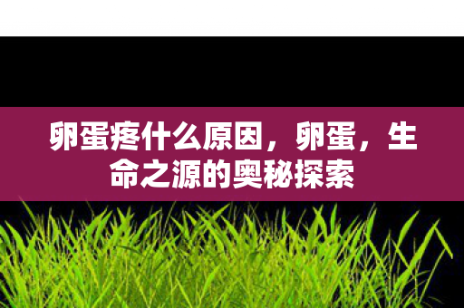 生命之源的奥秘探索图片