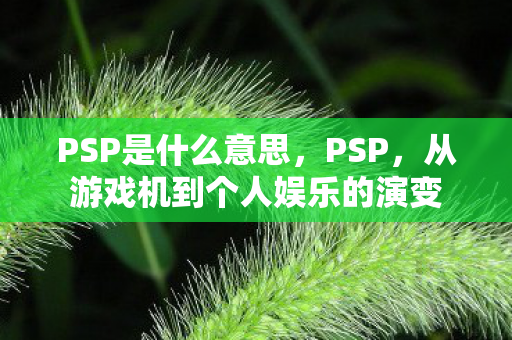 从游戏机到个人娱乐的演变图片