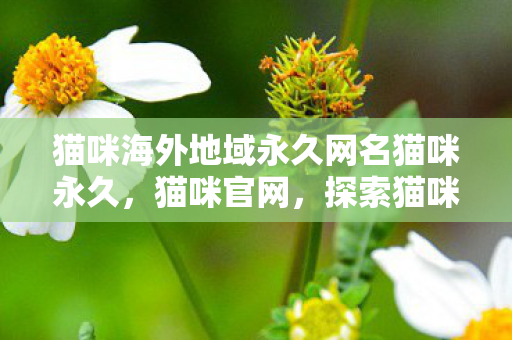 猫咪海外地域永久网名猫咪永久图片