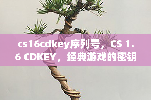 cs16cdkey序列号，CS 1.6 CDKEY，经典游戏的密钥与回忆