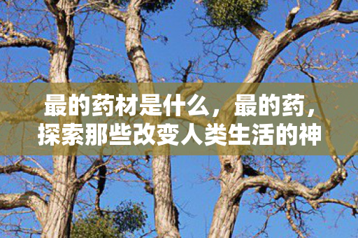 探索那些改变人类生活的神奇药物图片