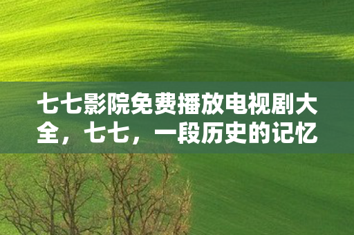 七七影院免费播放电视剧大全图片