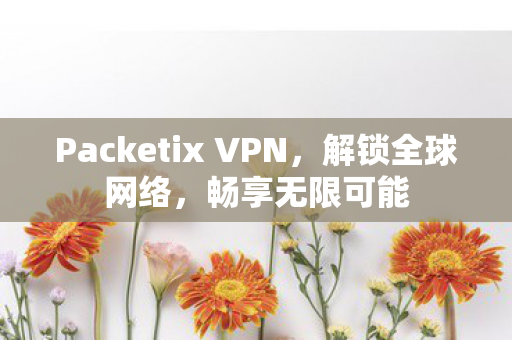 Packetix VPN图片
