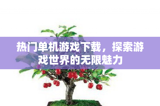 热门单机游戏下载，探索游戏世界的无限魅力