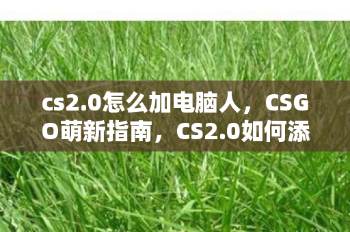 cs2.0怎么加电脑人，CSGO萌新指南，CS2.0如何添加好友与队友