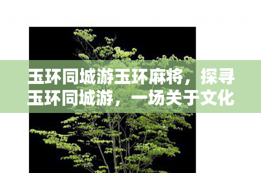 玉环同城游玉环麻将图片