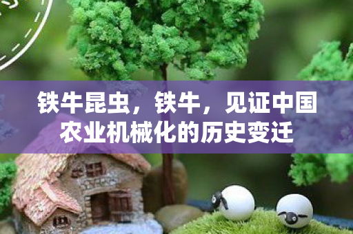 见证中国农业机械化的历史变迁图片