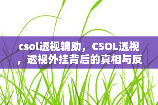 透视外挂背后的真相与反思图片