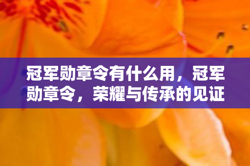 冠军勋章令有什么用，冠军勋章令，荣耀与传承的见证