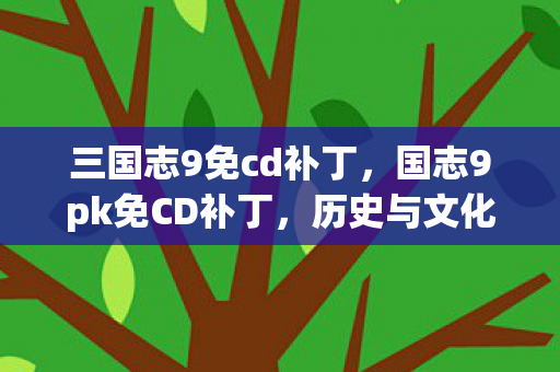 三国志9免cd补丁，国志9pk免CD补丁，历史与文化的传承，还是数字时代的便捷？
