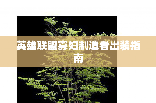 英雄联盟寡妇制造者出装指南