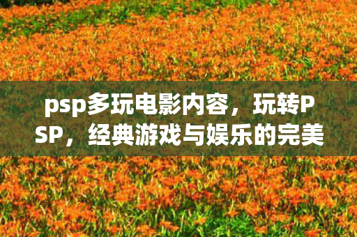 psp多玩电影内容，玩转PSP，经典游戏与娱乐的完美结合