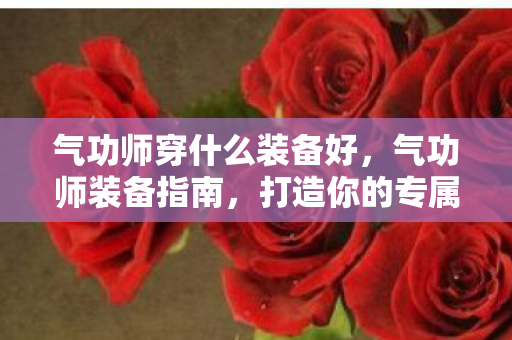 气功师穿什么装备好，气功师装备指南，打造你的专属战斗风格