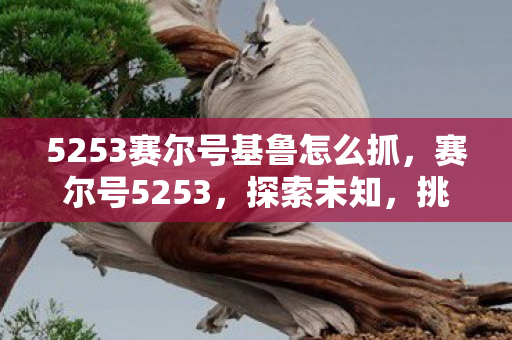 5253赛尔号基鲁怎么抓图片