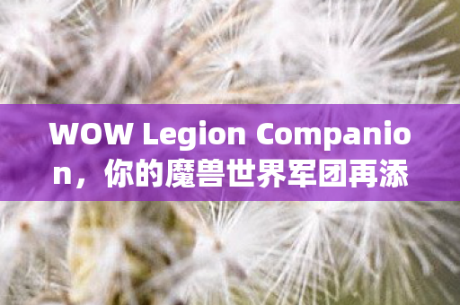 WOW Legion Companion，你的魔兽世界军团再添良将