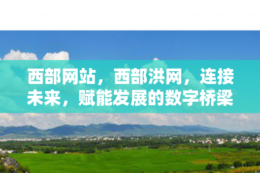 赋能发展的数字桥梁图片