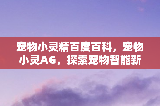 宠物小灵精百度百科图片