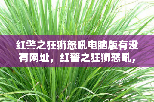 红警之狂狮怒吼电脑版有没有网址图片