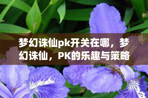 梦幻诛仙pk开关在哪图片