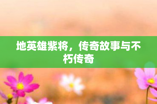 传奇故事与不朽传奇图片