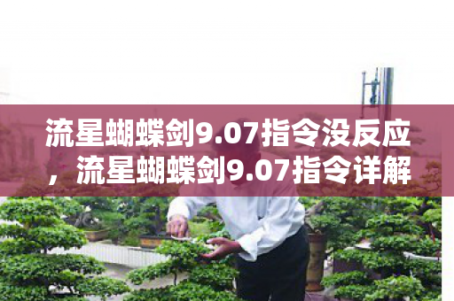 流星蝴蝶剑9.07指令没反应，流星蝴蝶剑9.07指令详解