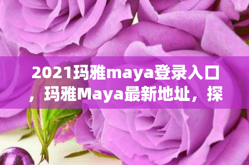 2021玛雅maya登录入口图片